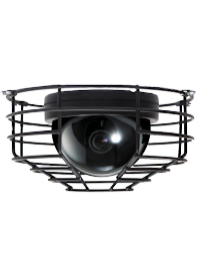 dome, camera, fixed, outdoor, black, cage, cover